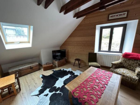 T4 cosy style montagnard 6/8pers